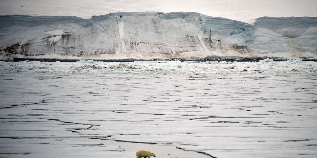 Article misrepresents study on Arctic ice to question climate change - Featured image