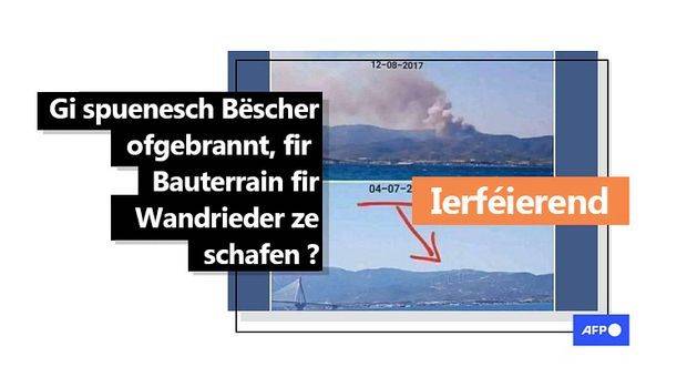 Faktencheck: Gi spuenesch Bëscher ofgebrannt, fir Bauterrain fir Wandrieder ze schafen? - Featured image