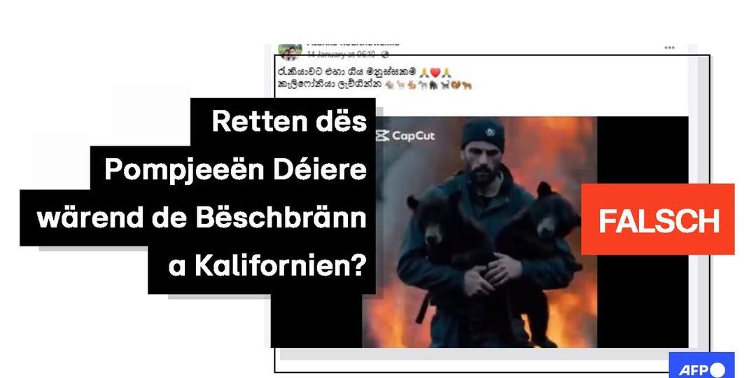 Faktencheck: Video vun LA-Pompjeeën, déi Déiere wärend Feiere retten, vu KI generéiert - Featured image