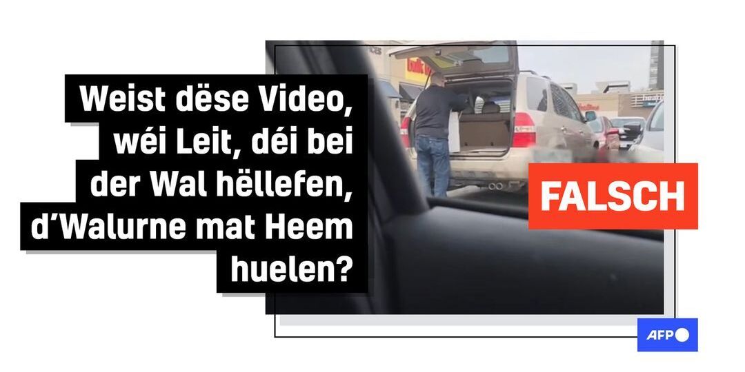Faktencheck: "Elections Canada" widderleet Video iwwer angeeblech falschen Ëmgang mat Stëmmziedelen - Featured image