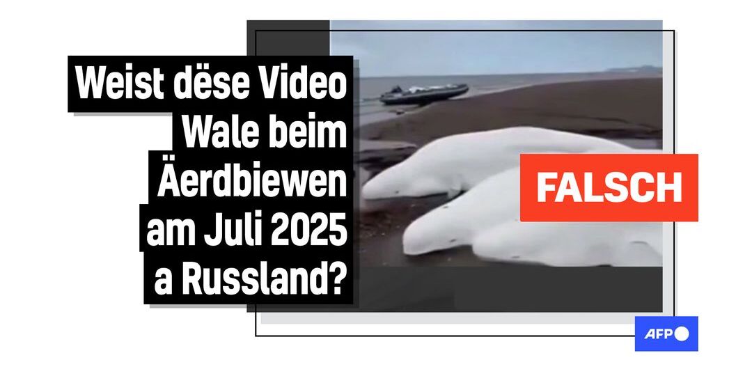 Faktencheck: Video vu gestrante Walen huet näischt mat Äerdbiewen a Russland ze dinn - Featured image