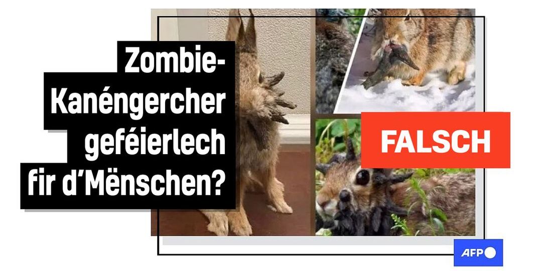 Faktencheck: Iwwerdriwwe Rumeuren iwwer "Frankenstein"-Kanéngercher a Sozialen Netzwierker - Featured image