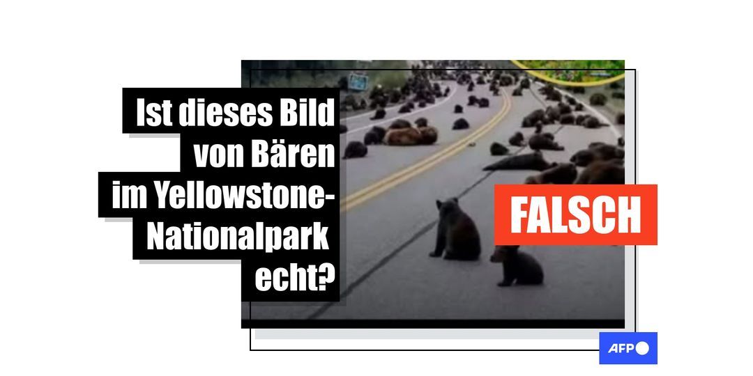 Faktencheck: KI-Biller vu Bieren am Yellowstone-Nationalpark a falsch Katastrophewarnungen - Featured image