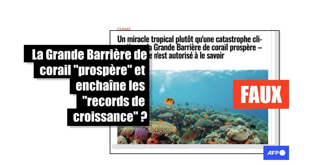La Grande Barrière de corail ne "prospère" pas, elle subit son plus large blanchissement jamais observé - Featured image