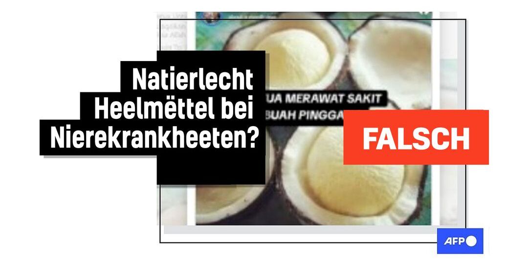 Faktencheck: Keng Indicen dorop, dass Kokosnëss Nierenerkrankungen heelen - Featured image