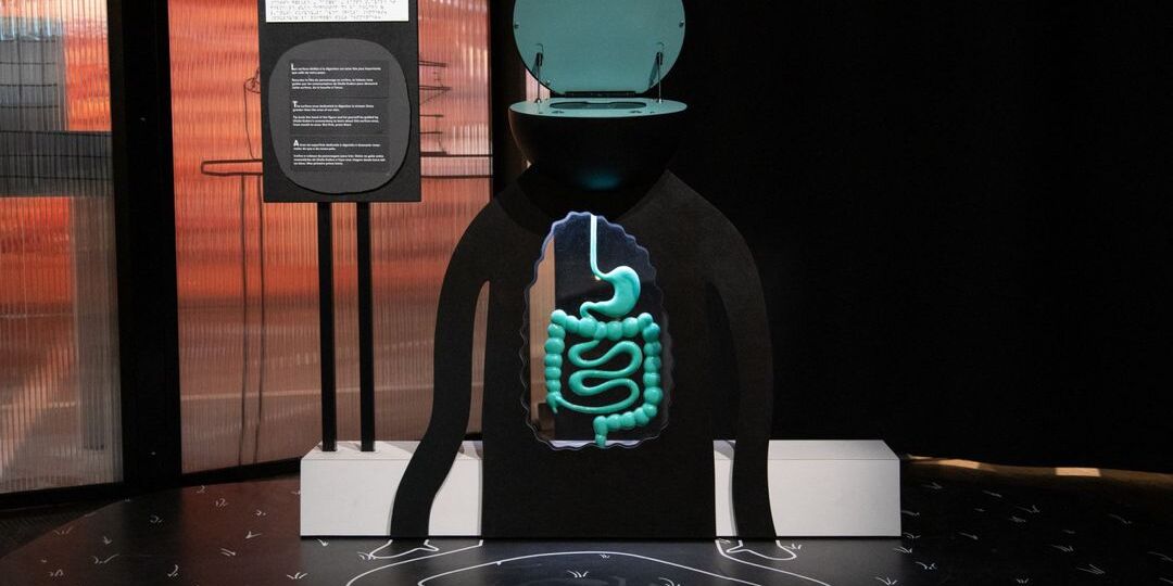 Analyses, compléments alimentaires : attention à ces informations trompeuses sur le microbiote - Featured image