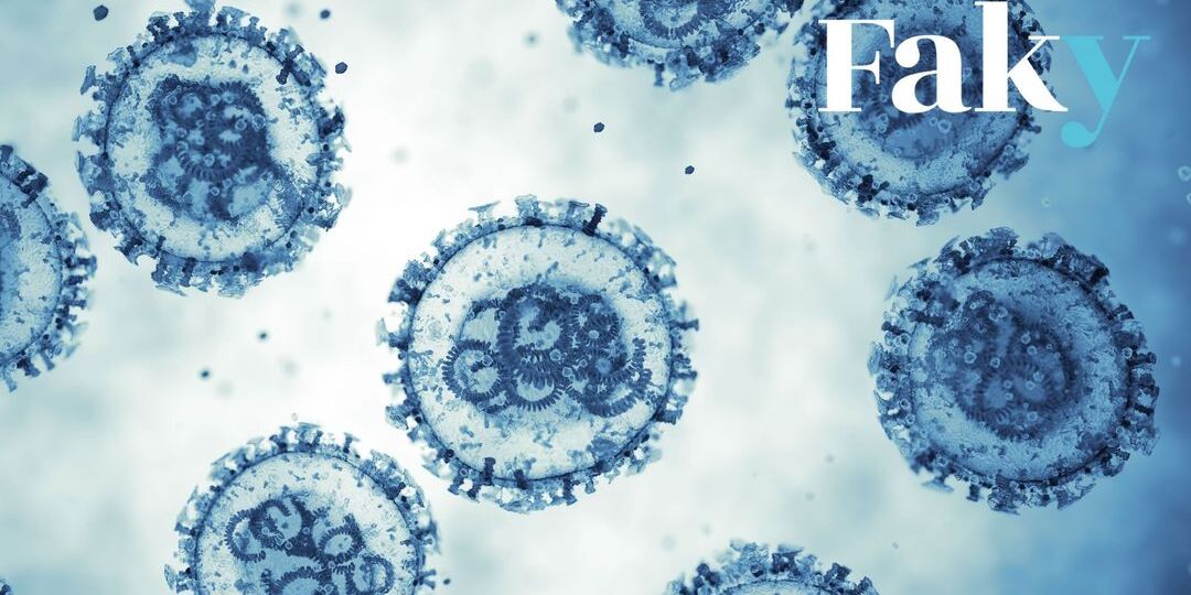 Les infections à l’hantavirus ne sont pas liées à un effet secondaire du vaccin de Pfizer contre le Covid - Featured image